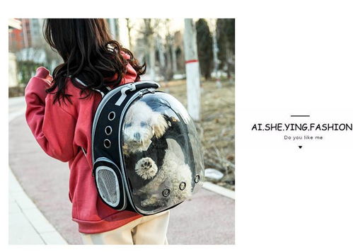 便攜透明寵物背包 湯河店太空貓包艙，出行新選擇